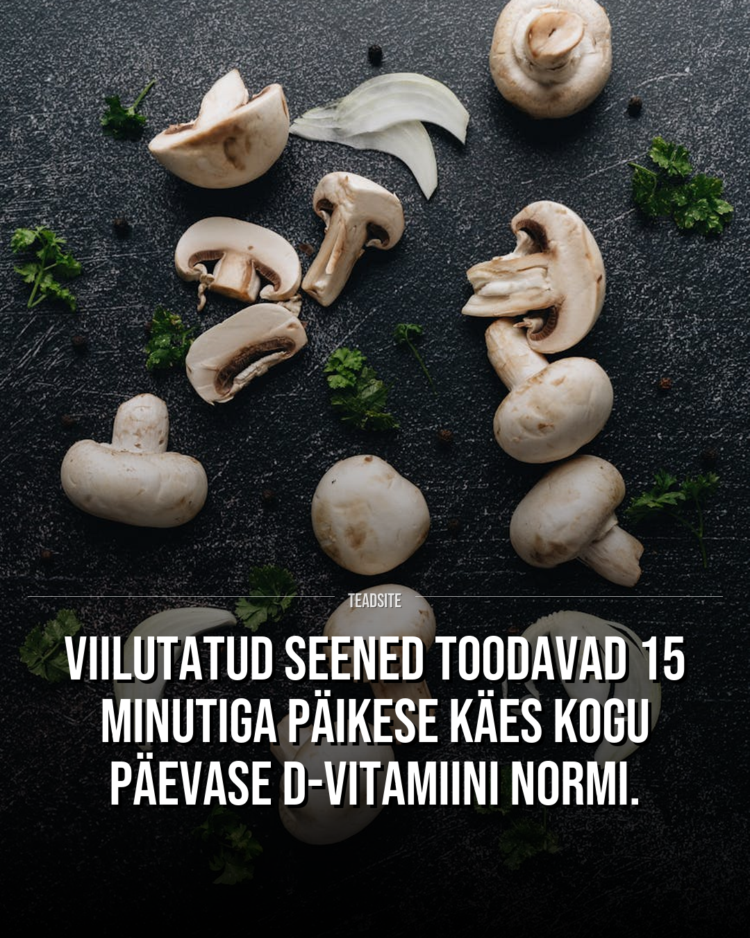 Viilutatud seened toodavad 15 minutiga päikese käes kogu päevase d-vitamiini normi